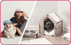 Friendly Pet Room Sharing Services